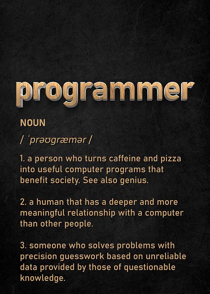 Programmer Definition Fun