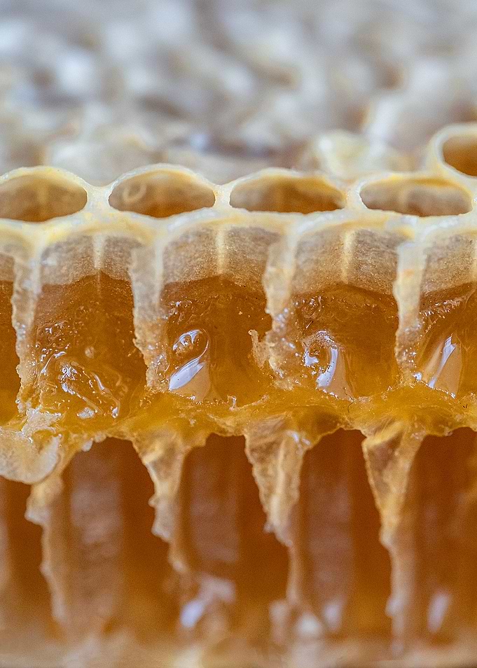 Honeycomb