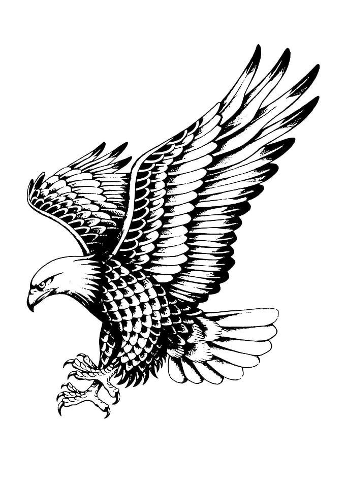 eagle
