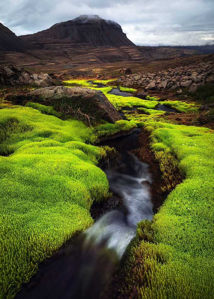 Contrast in the Westfjords