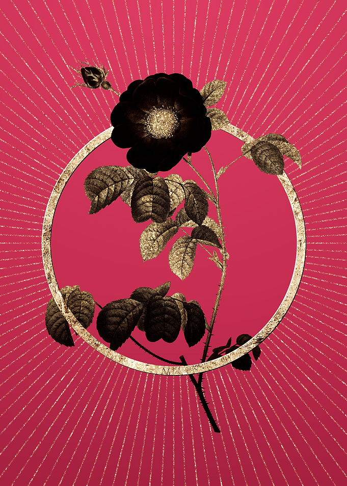Gold Rose on Viva Magenta