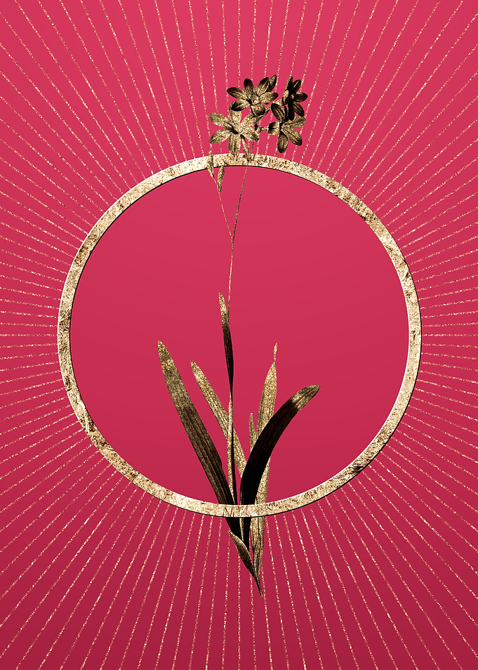 Corn Lily on Viva Magenta
