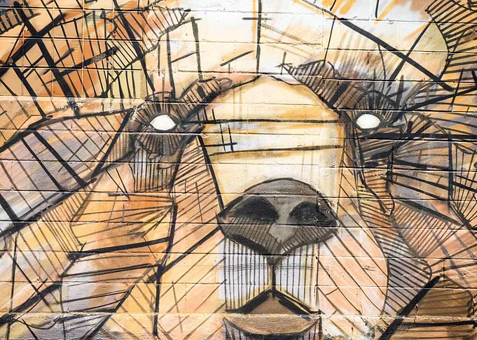 Geometric Dog