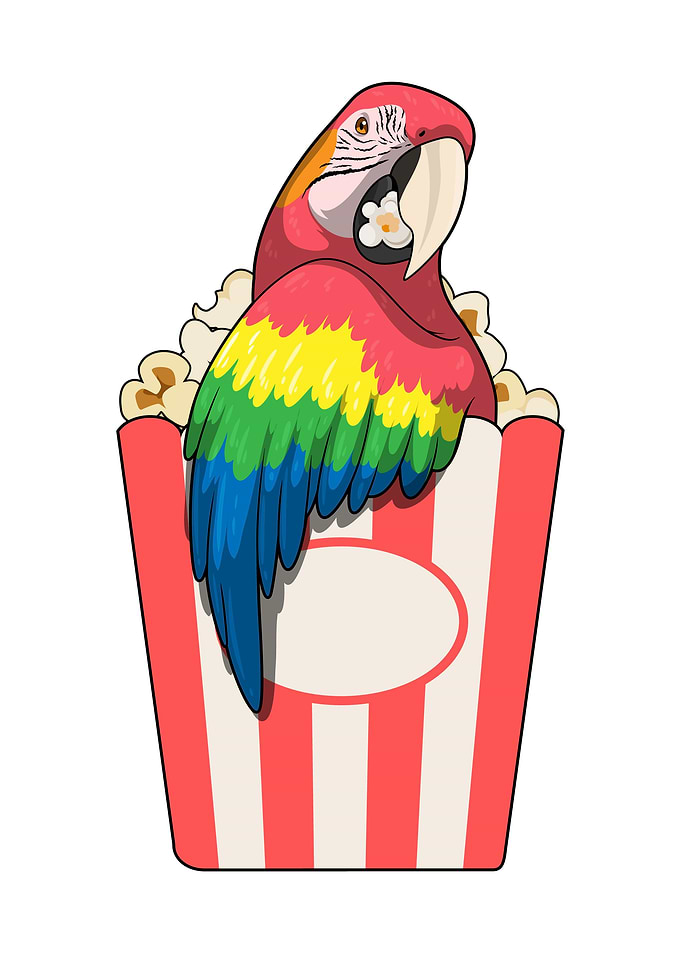 Parrot Popcorn