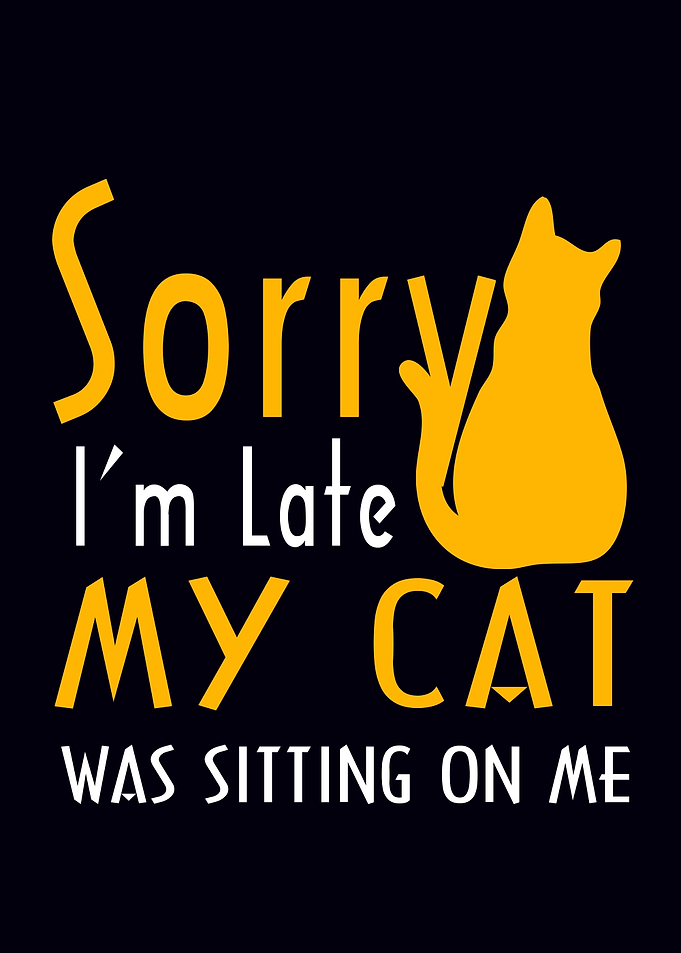My Cat Was Sitting On Me