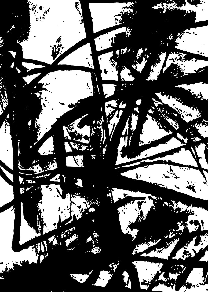 Black and White Abstract