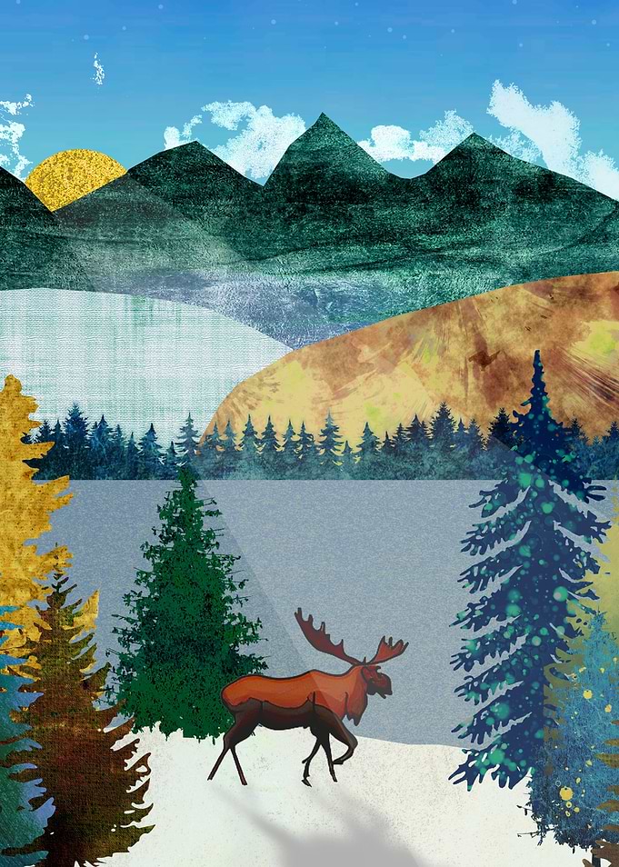 Sunrise Moose