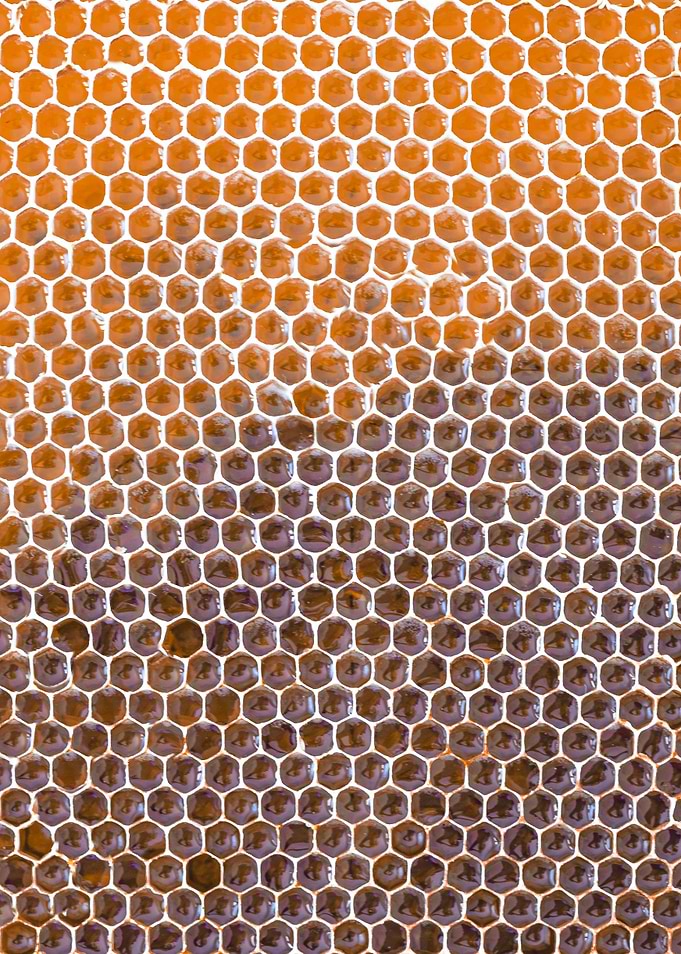 honeycomb