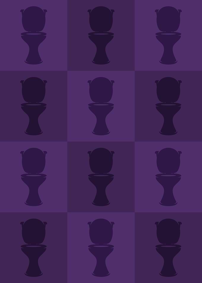 Toilet Icons Pop Art