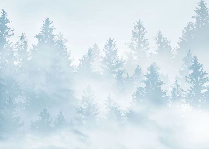 Soft Blue Forest Dream 1