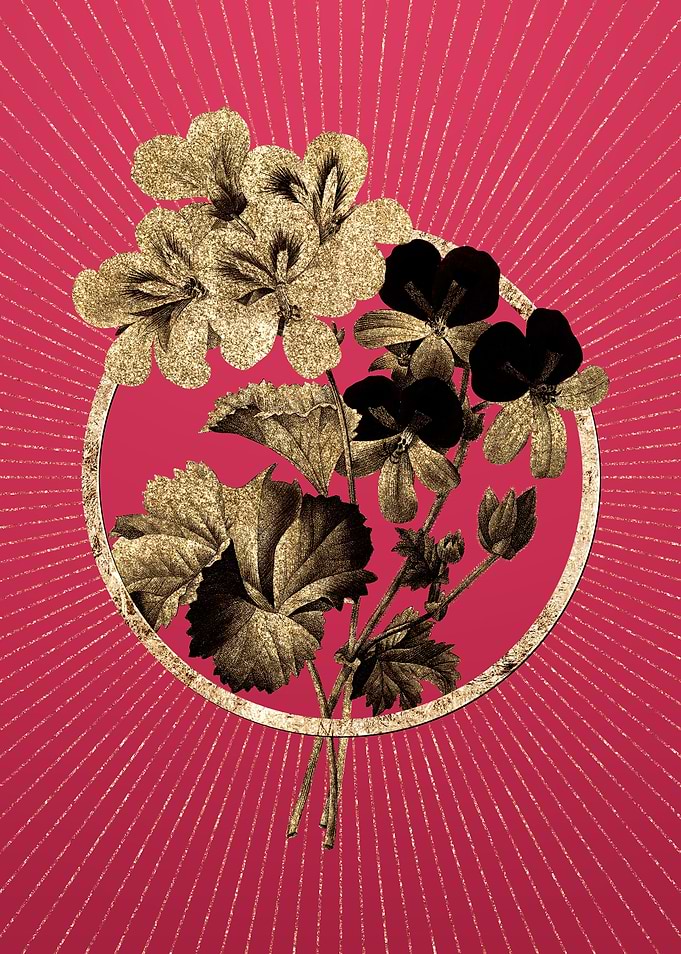 Gold Cranes Bill Geranium