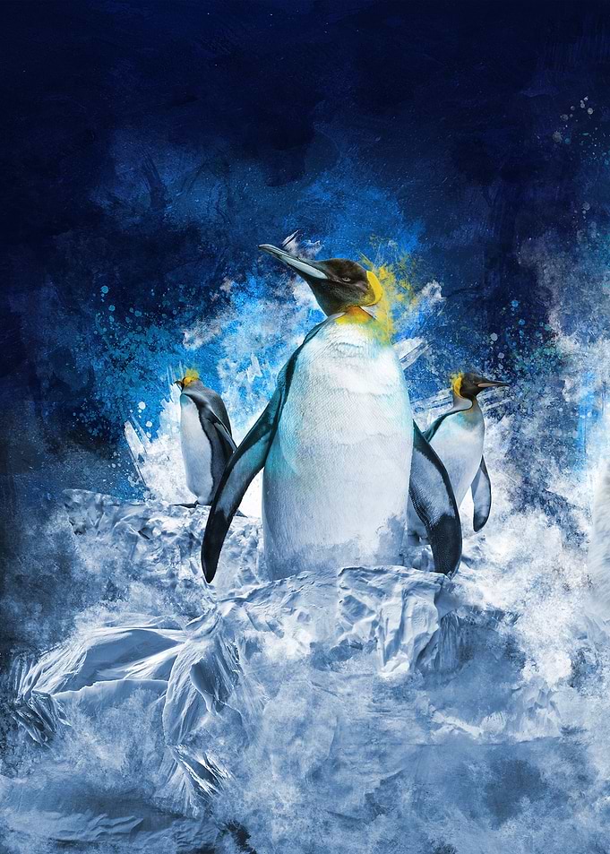 Penguins on ice