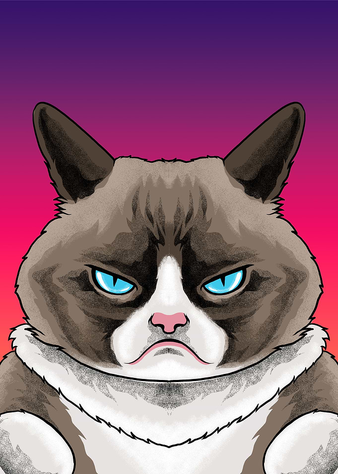 Grumpy Cat
