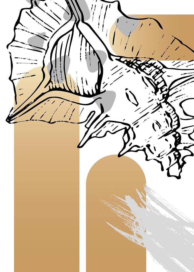 Sea Shell Ocean