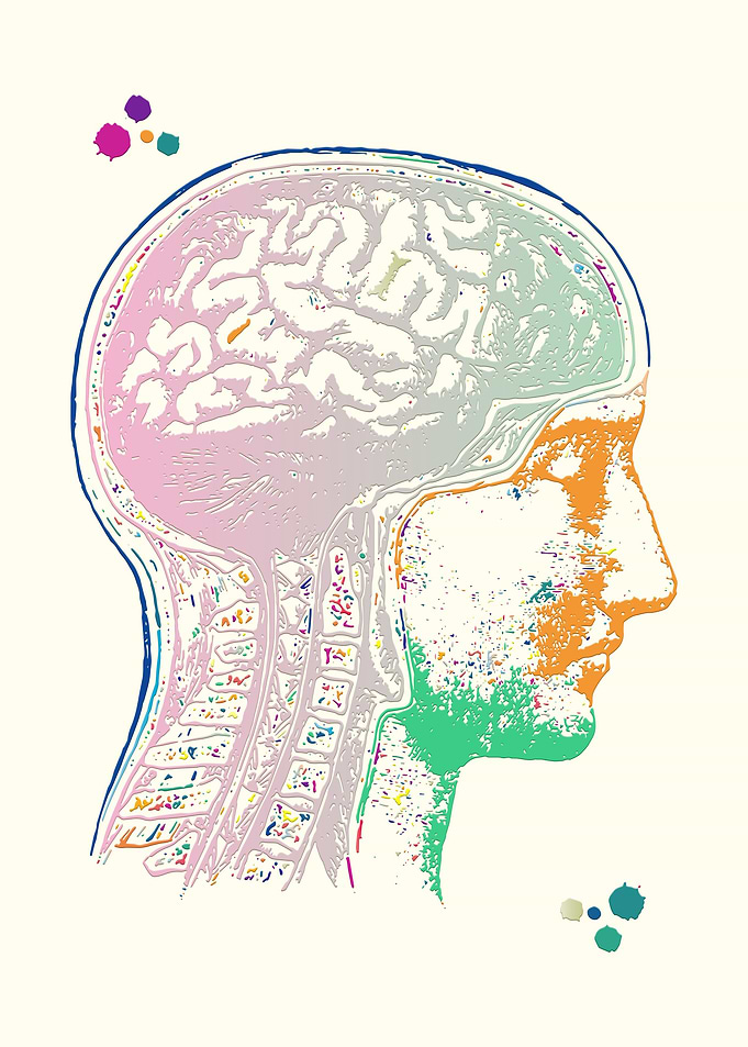 Brain and Head