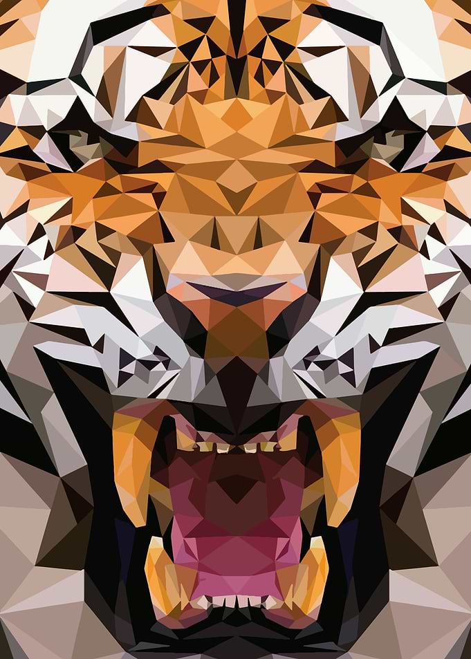face tiger 3d
