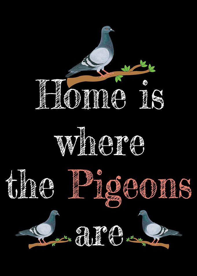 Homing Pigeons Gift Men