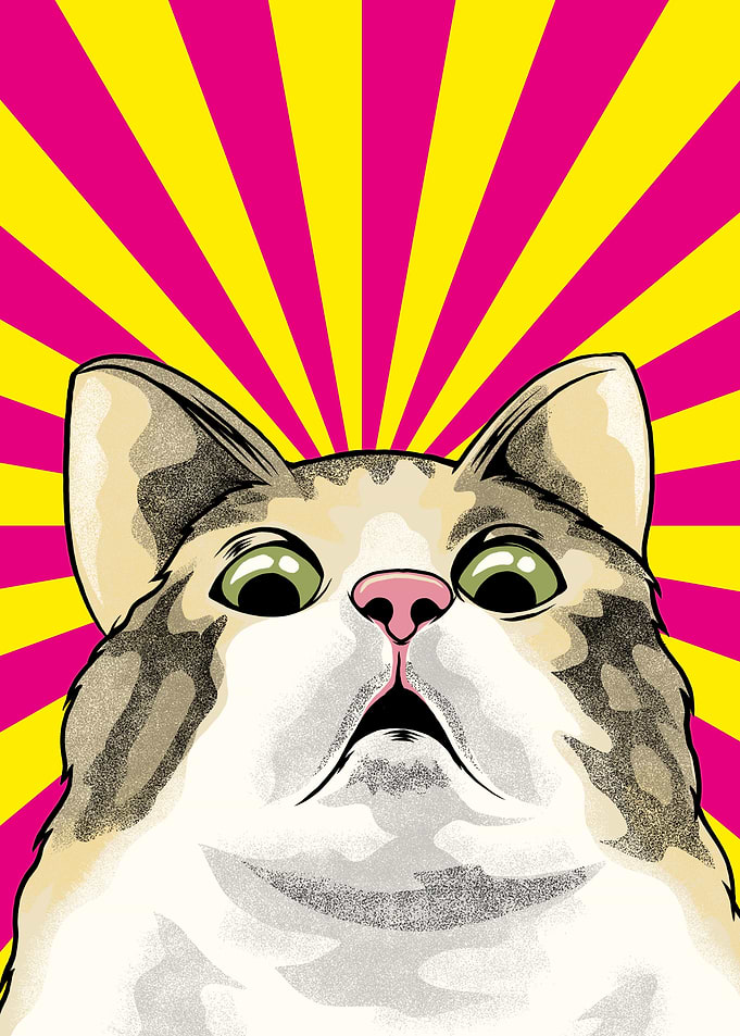 Cat Meme