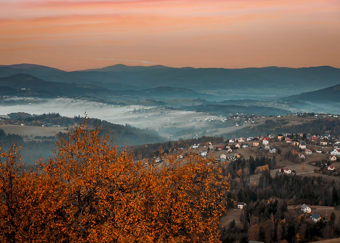 Autumn misty hills, view