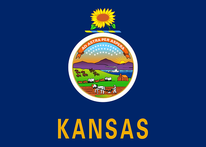 Kansas State Flag