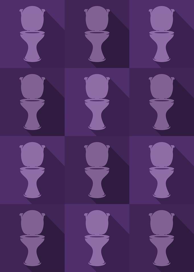 Toilet Icons Pop Art