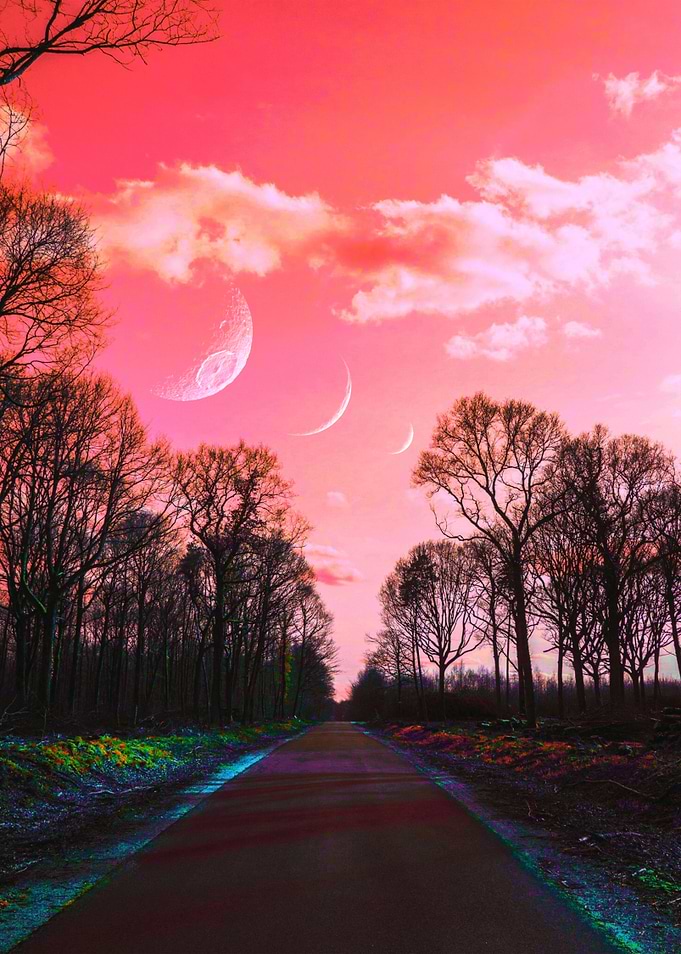 Moving Through the World