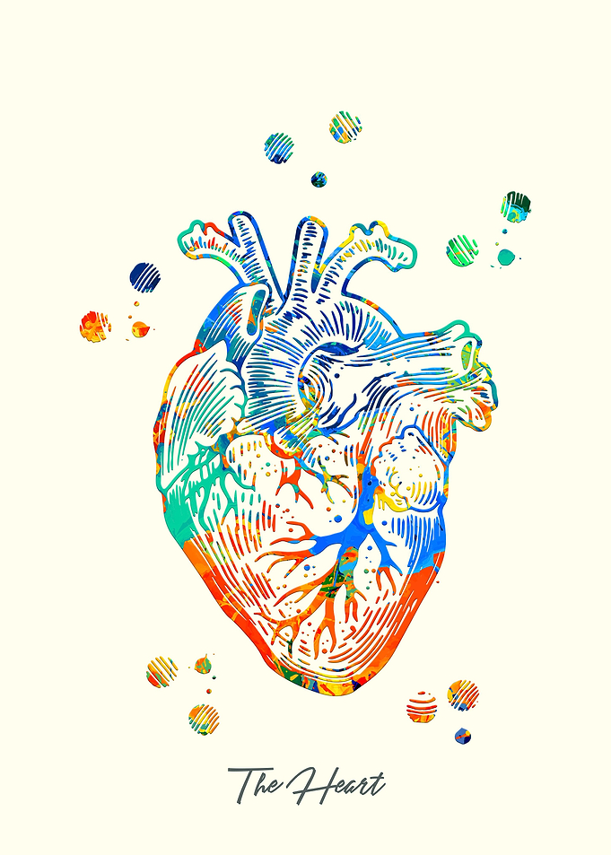 The Heart