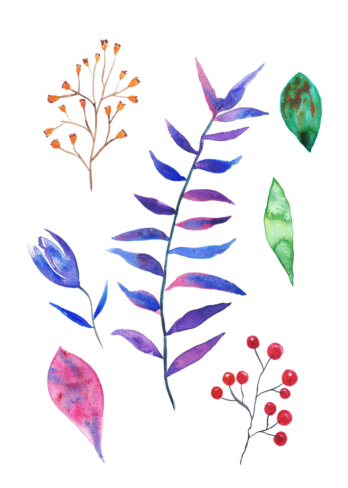 Watercolor Garden 6