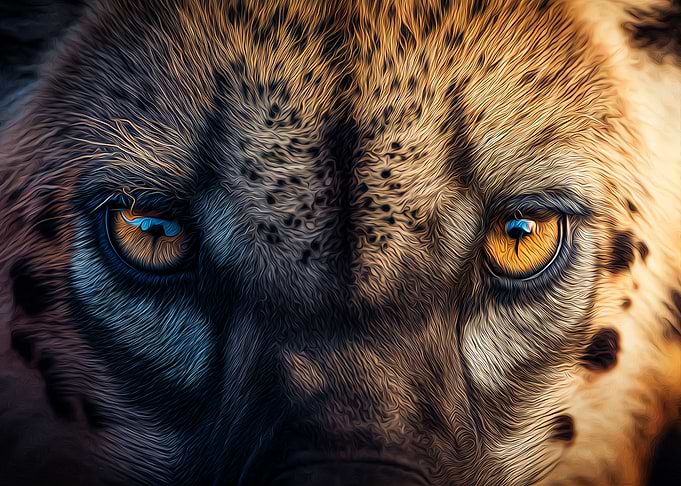 Hyena