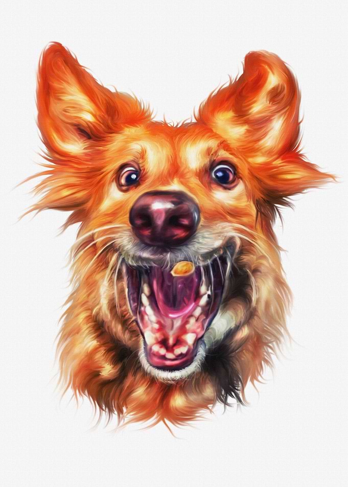Weird Golden Retriever