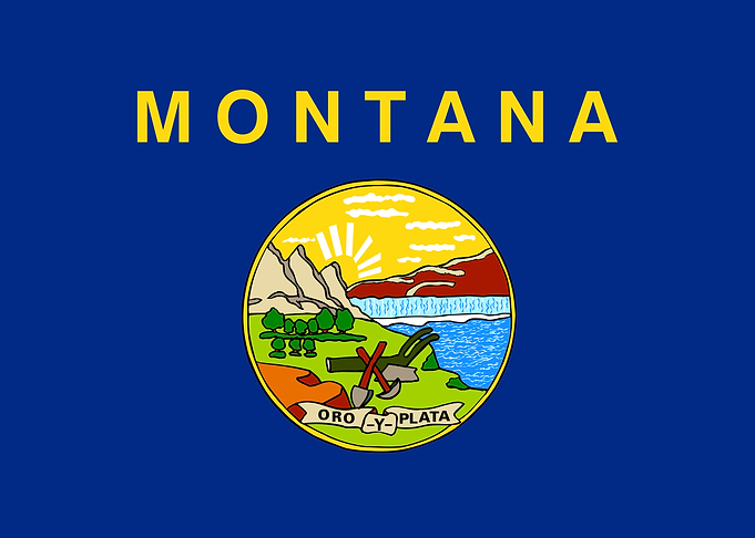 Montana State Flag