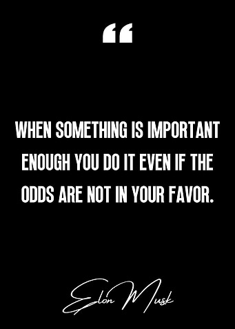 Elon Musk Quote