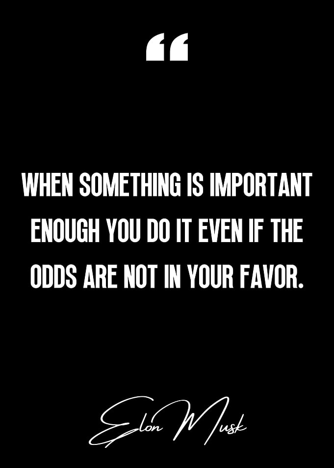 Elon Musk Quote