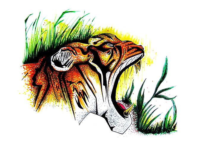 Tiger In The Wild