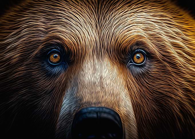 Bear