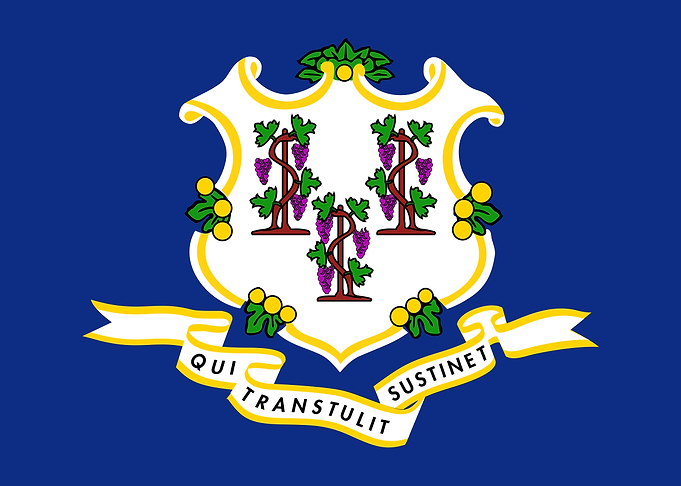 Connecticut State Flag
