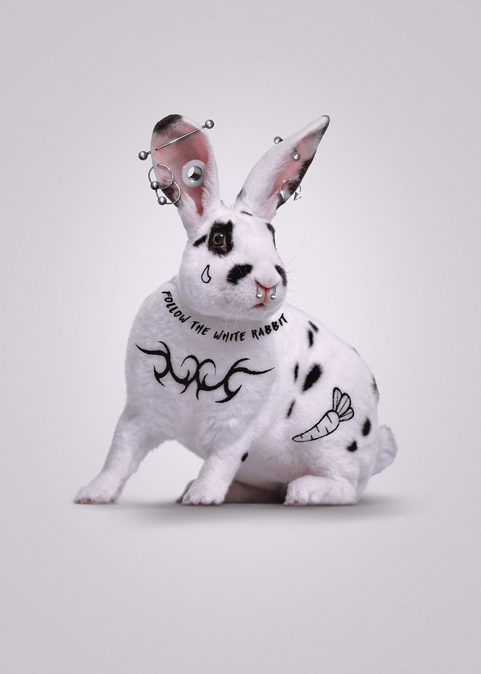 Tattoo Bunny