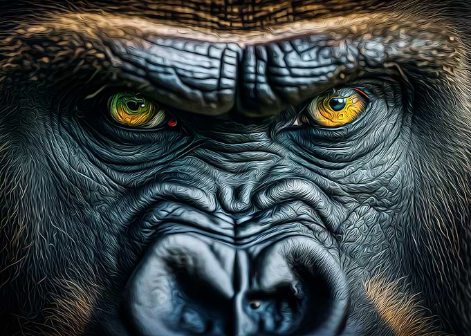 Gorilla