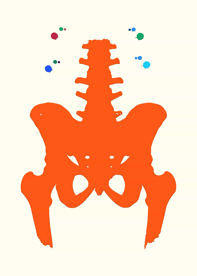 Human Hip