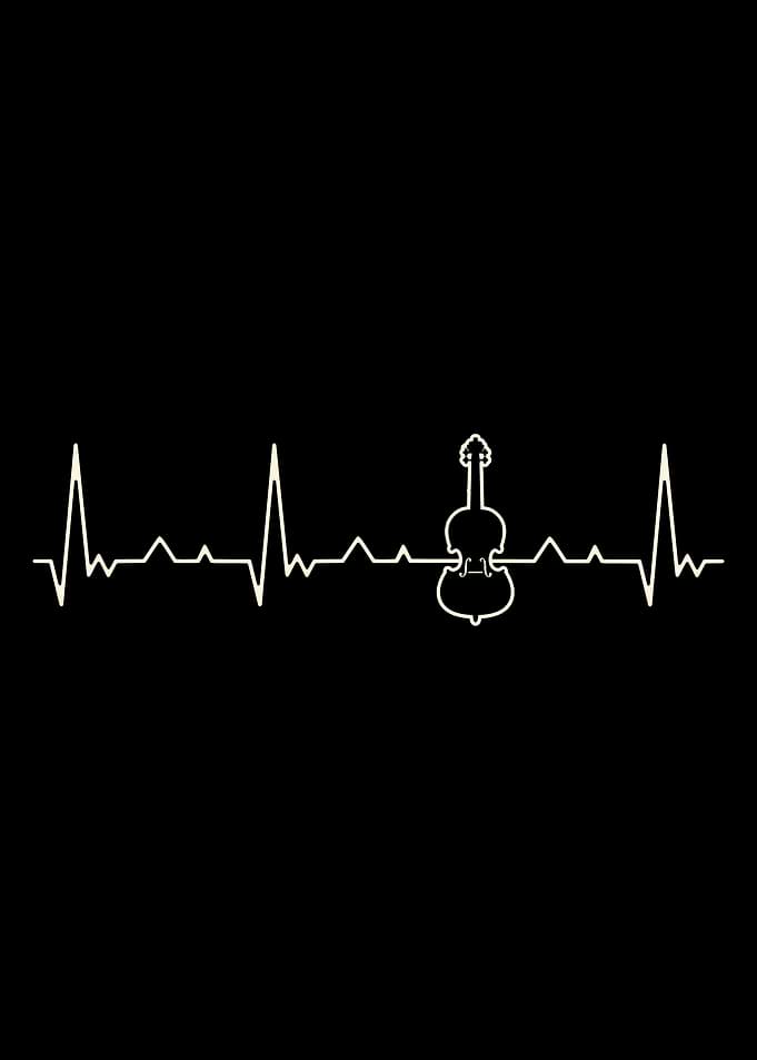 Violin