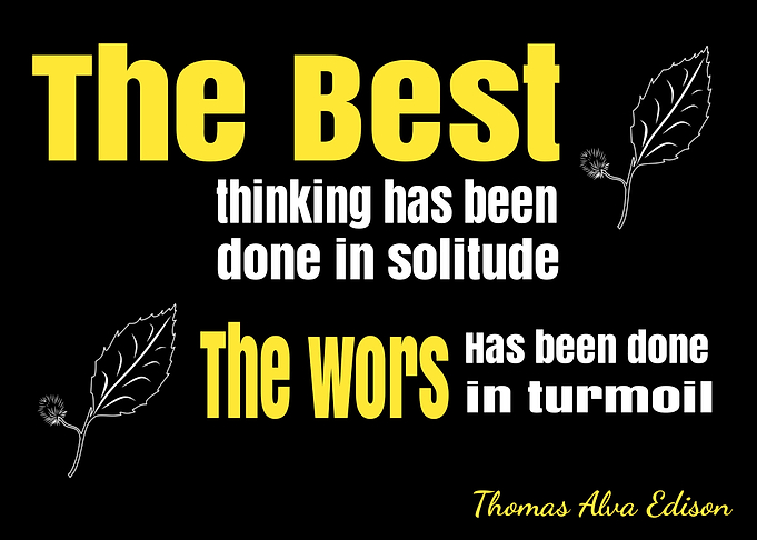 Quotes Thomas Alva Edison