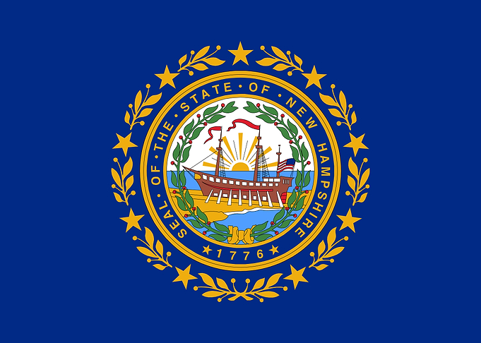 New Hampshire State Flag