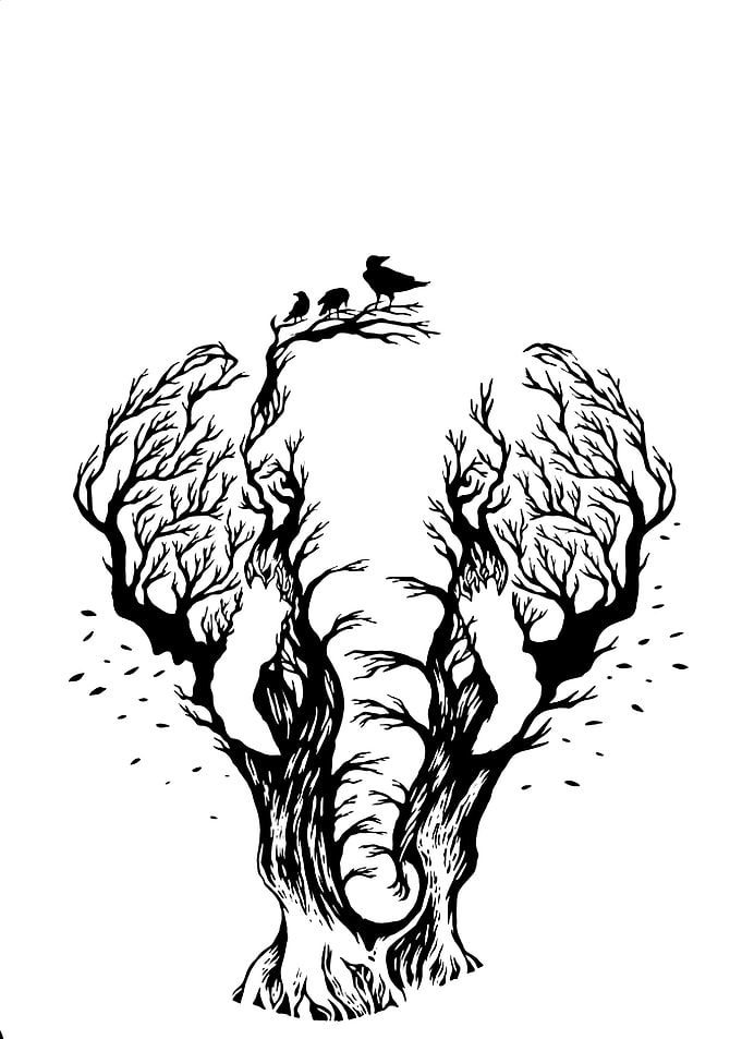 elephant