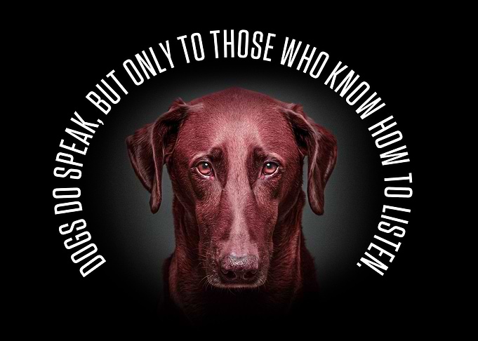 Dogs do speak