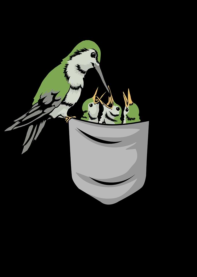 Hummingbird Feeding Chicks