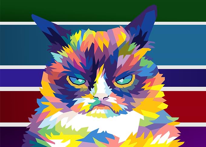 grumpy cat meme