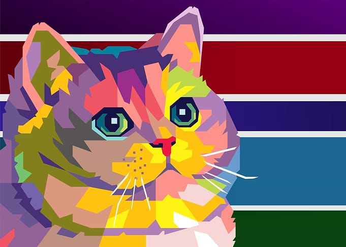 heavy breathing cat