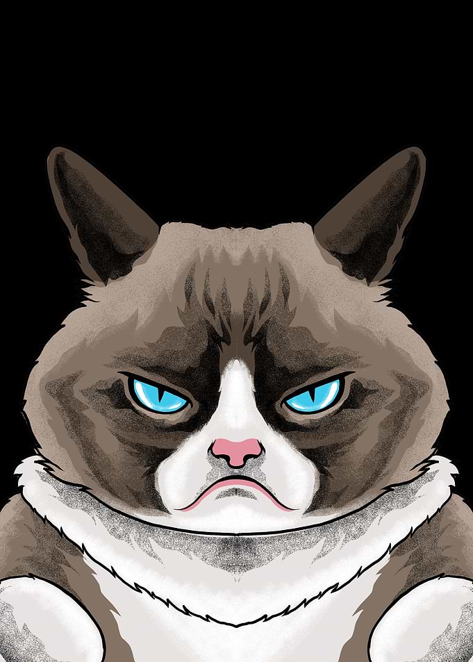 Grumpy Cat Meme