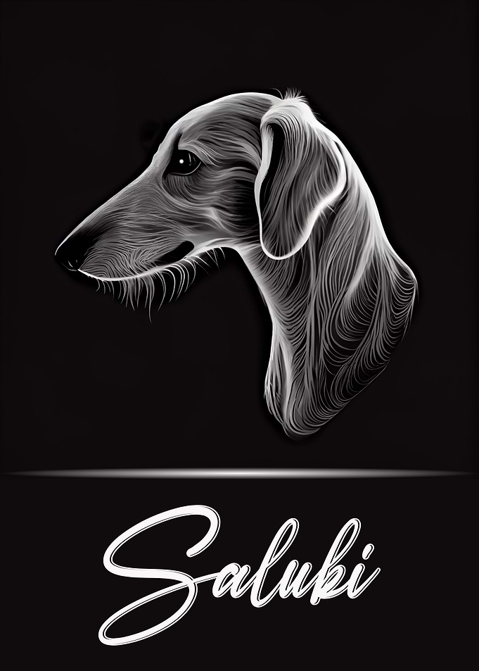 Saluki