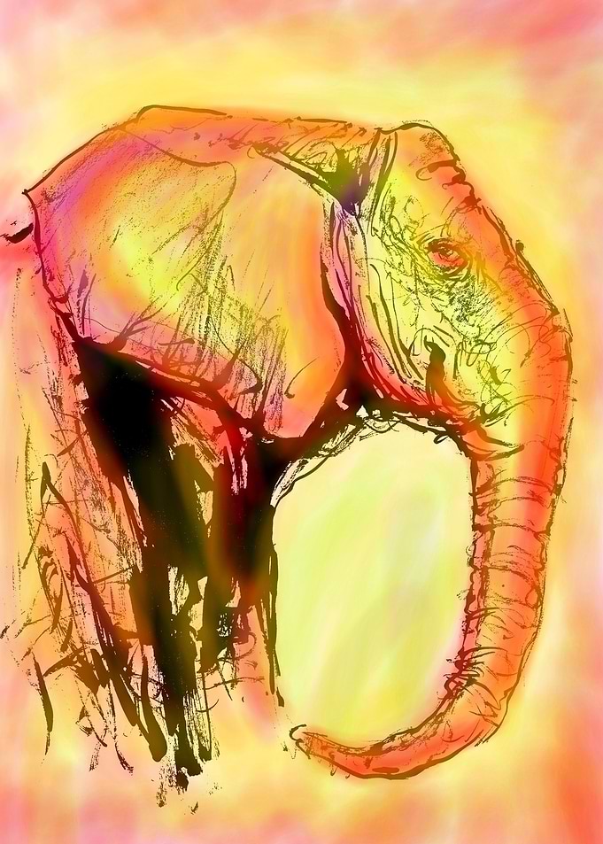 elephant